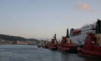 Tugboats at doorstep of Wellington apartment